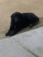 processed/aaed250e-849f-492c-ab14-ebdd29ad3130/listing/c2736e6e-5598-496c-89fd-b8e6769ca412/95017e2d-20e7-466f-bc22-eb3aa9a1e2d6