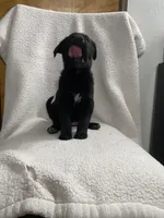 processed/aaed250e-849f-492c-ab14-ebdd29ad3130/listing/c2736e6e-5598-496c-89fd-b8e6769ca412/c39a69e5-b128-476a-8129-894ef2d6e0c1