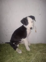 processed/aaed250e-849f-492c-ab14-ebdd29ad3130/listing/e5edbf68-fb07-42ac-ac95-3d1e9d4dd5c0/1cbd5938-66e3-44f7-adb1-2a4814844985