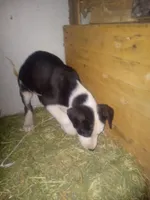 processed/aaed250e-849f-492c-ab14-ebdd29ad3130/listing/e5edbf68-fb07-42ac-ac95-3d1e9d4dd5c0/74012b81-30bf-4856-8396-d4e5fef4e51e