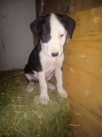 processed/aaed250e-849f-492c-ab14-ebdd29ad3130/listing/e5edbf68-fb07-42ac-ac95-3d1e9d4dd5c0/e9423ad2-9f5f-4db2-9d76-062368d08087