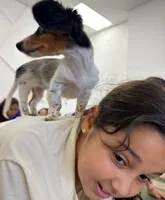 Amiee, a female Miniature Dachshund for sale in New York, NY – 4 of 4