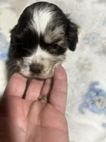 processed/aafaf15b-2343-43f9-94ed-818463c94d39/listing/03d57d63-2f55-41a4-8f99-f952ef5b47c0/c86b2466-3d7d-4199-b0af-5cfa326790f1