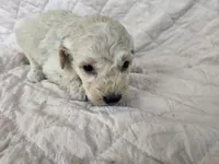 processed/ab03decf-e53f-4252-989c-e0ced2250b29/listing/b161b852-f04c-4b62-aa0e-9e874b2c8e3d/14b1df1d-e503-45b5-8dd6-c156a4594f74