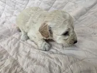 processed/ab03decf-e53f-4252-989c-e0ced2250b29/listing/b161b852-f04c-4b62-aa0e-9e874b2c8e3d/b10656c3-77bf-41fb-94df-04bb3c094abe