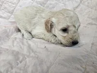 processed/ab03decf-e53f-4252-989c-e0ced2250b29/listing/b161b852-f04c-4b62-aa0e-9e874b2c8e3d/c3e15819-2fea-4dab-91f3-fe80ffba977c