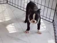 processed/ab0ba70c-4eef-4877-aa0e-a163a2aa9207/listing/0dbdd3fa-3801-4525-b129-82d65754d4c2/6d4b75b8-9bcb-40a2-9a38-69a908728fc1