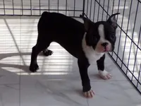 processed/ab0ba70c-4eef-4877-aa0e-a163a2aa9207/listing/0dbdd3fa-3801-4525-b129-82d65754d4c2/704073a1-1ec7-43c8-adc3-ad279d8f3be2