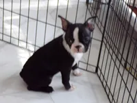 processed/ab0ba70c-4eef-4877-aa0e-a163a2aa9207/listing/0dbdd3fa-3801-4525-b129-82d65754d4c2/7cb5c1f6-30fc-426b-971b-cb0da4e4c415