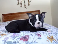 processed/ab0ba70c-4eef-4877-aa0e-a163a2aa9207/listing/0dbdd3fa-3801-4525-b129-82d65754d4c2/7cbc3c7c-4a10-4731-bee5-2b002858b320