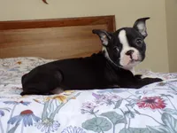 processed/ab0ba70c-4eef-4877-aa0e-a163a2aa9207/listing/0dbdd3fa-3801-4525-b129-82d65754d4c2/9810d1e4-8afa-4231-ad4d-07795873acbc