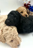 processed/ab138bc5-01f4-4278-9a75-1c750db4fdae/facility/0577d042-400a-47a0-86f8-9375311819e5