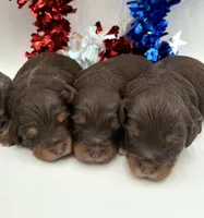 processed/ab138bc5-01f4-4278-9a75-1c750db4fdae/facility/61a19f42-837a-4334-b4e0-bd3e85bae999