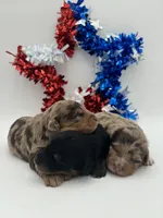 processed/ab138bc5-01f4-4278-9a75-1c750db4fdae/facility/7cf06821-533d-475c-a0e0-5c441f130fdb