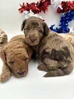 processed/ab138bc5-01f4-4278-9a75-1c750db4fdae/facility/b5c3e08f-0b13-42d7-9963-e05c9aa4a0b6