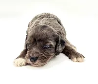 processed/ab138bc5-01f4-4278-9a75-1c750db4fdae/listing/0dd84185-b4fd-4566-8baa-584f74db9290/7b914c2b-bc8b-4593-83bf-50a6dd14a7c8