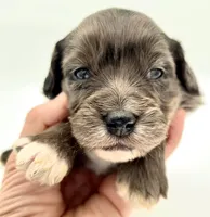 processed/ab138bc5-01f4-4278-9a75-1c750db4fdae/listing/0dd84185-b4fd-4566-8baa-584f74db9290/dda01b14-32b5-4767-99d5-5dfd791f3cca