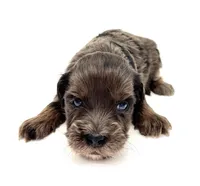 processed/ab138bc5-01f4-4278-9a75-1c750db4fdae/listing/1ab17d31-e4d3-4a79-b44e-80228aca3d01/5a5d1e45-ba61-4cac-97f6-ae8a8a01963d