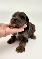 processed/ab138bc5-01f4-4278-9a75-1c750db4fdae/listing/1ab17d31-e4d3-4a79-b44e-80228aca3d01/a733b1c1-320c-402e-babd-cd14b9a55569