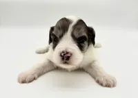 processed/ab138bc5-01f4-4278-9a75-1c750db4fdae/listing/2bc31d57-4f2c-466e-9274-c9189889644c/0b194d3b-4585-4936-a3b2-3115c0e7c4d7