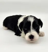 processed/ab138bc5-01f4-4278-9a75-1c750db4fdae/listing/fe0e58e8-135d-4feb-aa0f-670d47403293/8811bea4-7a38-478c-b5d1-561b6cb1123b