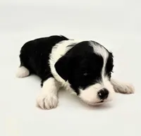 processed/ab138bc5-01f4-4278-9a75-1c750db4fdae/listing/fe0e58e8-135d-4feb-aa0f-670d47403293/d90516cc-ad1d-4dc6-b007-5f4044646c09