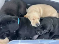 processed/ab1ba20e-08a7-4cb2-922b-fca23e6063cd/listing/1687b332-a083-4f6f-a270-488e3044c19c/27497f02-5db0-4e0e-a11e-c8a234abb5c9