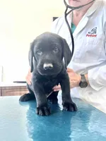 processed/ab1ba20e-08a7-4cb2-922b-fca23e6063cd/listing/1687b332-a083-4f6f-a270-488e3044c19c/8e558596-5615-44f5-9ee5-6a033641cdfa