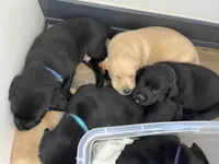 processed/ab1ba20e-08a7-4cb2-922b-fca23e6063cd/listing/1687b332-a083-4f6f-a270-488e3044c19c/bd52faf7-5f2b-46d4-8838-4cbbe2df3adc