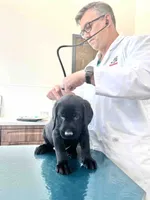 processed/ab1ba20e-08a7-4cb2-922b-fca23e6063cd/listing/1687b332-a083-4f6f-a270-488e3044c19c/d8874151-b69b-468d-a1c5-a5ed682fafc1