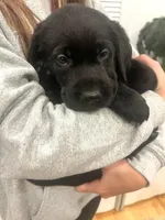 processed/ab1ba20e-08a7-4cb2-922b-fca23e6063cd/listing/1687b332-a083-4f6f-a270-488e3044c19c/f7f3a903-fda5-4388-b76d-34e713dca470