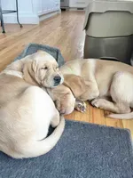 processed/ab1ba20e-08a7-4cb2-922b-fca23e6063cd/listing/230e5287-3511-423f-975f-5d6203bc07ba/087630a7-3376-4826-836d-788c8811d7b7