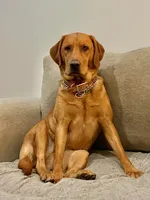 processed/ab1ba20e-08a7-4cb2-922b-fca23e6063cd/listing/230e5287-3511-423f-975f-5d6203bc07ba/2b4d7698-6a47-4540-b3e1-f091b656216c