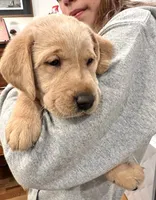 processed/ab1ba20e-08a7-4cb2-922b-fca23e6063cd/listing/230e5287-3511-423f-975f-5d6203bc07ba/399910dd-246a-46f9-a1ca-88d0735d83e0