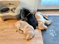 processed/ab1ba20e-08a7-4cb2-922b-fca23e6063cd/listing/230e5287-3511-423f-975f-5d6203bc07ba/801880db-8597-436a-9f99-a617a1d8d7f8