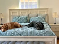 processed/ab1ba20e-08a7-4cb2-922b-fca23e6063cd/listing/230e5287-3511-423f-975f-5d6203bc07ba/9275d10b-90f6-4f26-8a27-e386ce6aa6e2