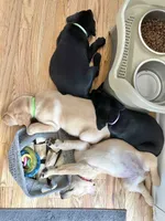 processed/ab1ba20e-08a7-4cb2-922b-fca23e6063cd/listing/230e5287-3511-423f-975f-5d6203bc07ba/efd56331-b6d8-45cb-9d5c-7a7d172e5268