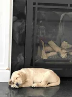 processed/ab1ba20e-08a7-4cb2-922b-fca23e6063cd/listing/230e5287-3511-423f-975f-5d6203bc07ba/f3922c31-364f-46d5-a9e8-25ea3e8afec0