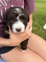 processed/ab247193-6b05-4361-9e99-62704c3906b0/facility/72ba958b-7c2c-47a9-854c-d38ce7ae9de9