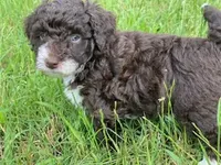 processed/ab247193-6b05-4361-9e99-62704c3906b0/facility/7e30cf1f-e6b4-4620-8f17-9a98730ca3fd