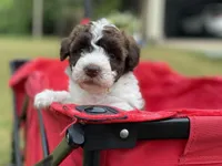 processed/ab247193-6b05-4361-9e99-62704c3906b0/facility/caa920c7-19fe-4b27-956a-8fd93e4da2de