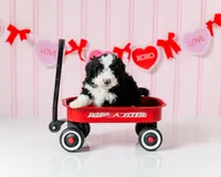 processed/ab247193-6b05-4361-9e99-62704c3906b0/listing/2436af75-45f0-4ab3-b2c3-317aa3307f4b/88c2f56f-23c3-49c7-afa7-8a616efd09cc