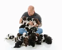 processed/ab247193-6b05-4361-9e99-62704c3906b0/listing/2bb11ac1-8905-4e33-8611-0c34eaf758c5/8d106c87-69da-4fcd-9bc9-4b0ae097a697