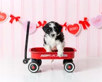 processed/ab247193-6b05-4361-9e99-62704c3906b0/listing/49c97694-3aa3-4e92-8d2d-49d0d16e34ff/603b8d86-25cd-4459-9357-1d623ab8ce6b