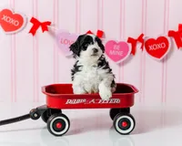 processed/ab247193-6b05-4361-9e99-62704c3906b0/listing/f9ab1caa-ab6b-4703-99ee-ec173a5f2a85/7483e50f-b6dc-4c5b-b457-70878519983a