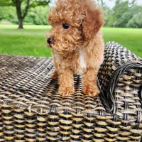 processed/ab3c83e6-6a9c-4a77-b207-1874cdbd36d4/facility/42f4500f-01a2-4957-bfcf-61f976072cfc