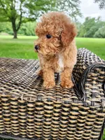 processed/ab3c83e6-6a9c-4a77-b207-1874cdbd36d4/facility/42f4500f-01a2-4957-bfcf-61f976072cfc