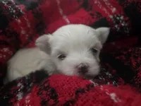 processed/ab3c83e6-6a9c-4a77-b207-1874cdbd36d4/listing/d7b18996-a3d1-49e6-8571-e27de7e4b29a/ba265b37-ac7c-4d28-b386-906af126296f