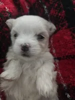 processed/ab3c83e6-6a9c-4a77-b207-1874cdbd36d4/listing/d7b18996-a3d1-49e6-8571-e27de7e4b29a/bc893f1b-73a8-43dc-bf72-65cd3ca7ac16