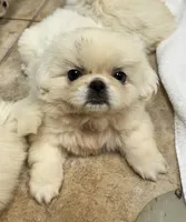 processed/ab43848c-91c1-42c3-9bf1-8d5e8921fc67/listing/055c9dc4-140d-4edf-a77e-5258b5d4eba8/4bb40db8-2c48-46ff-96ea-b77d5bac2864